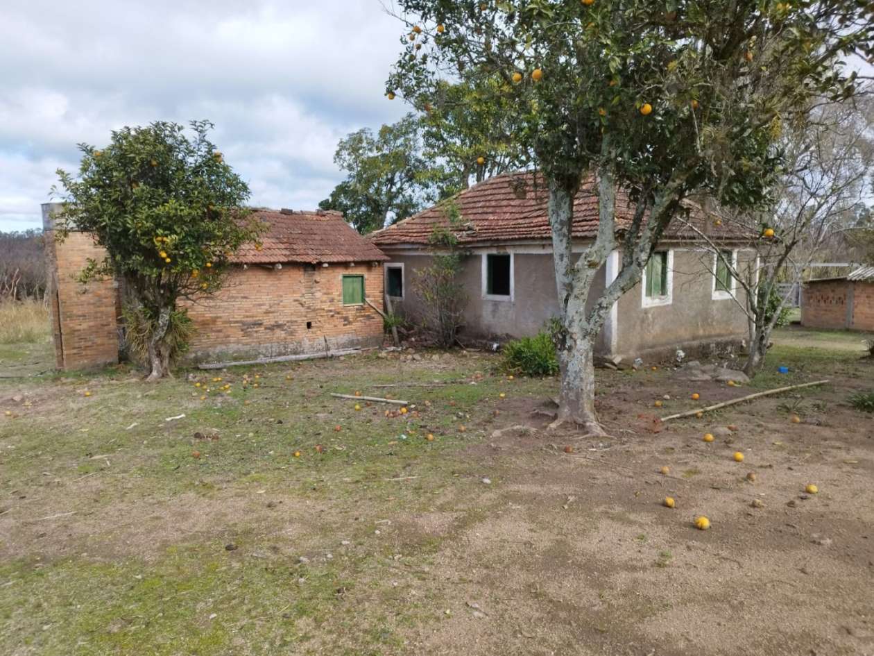 Fazenda, 93 m² - Foto 6
