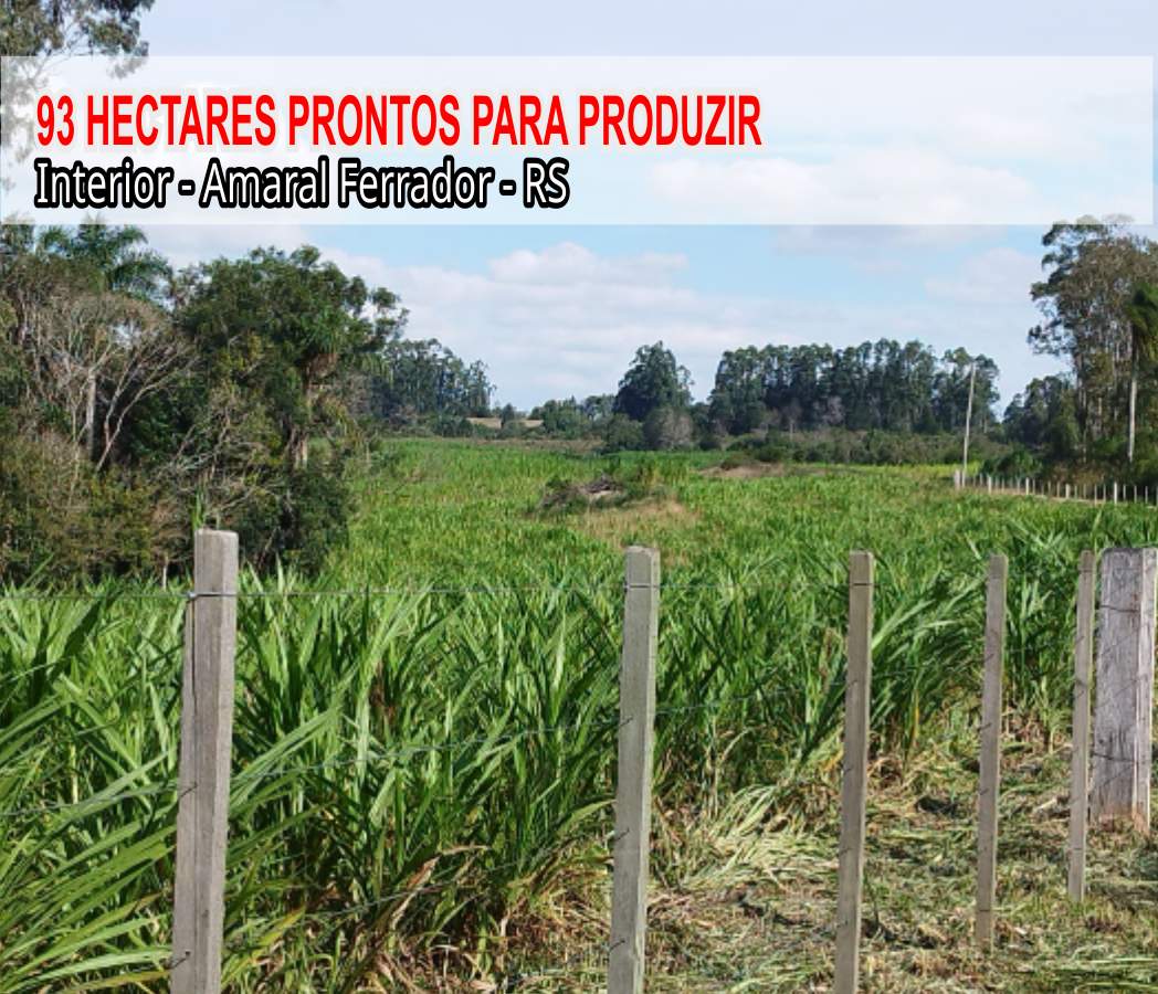 Fazenda, 93 m² - Foto 1