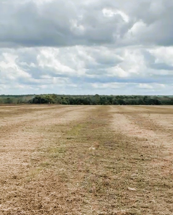 Fazenda, 2120 m² - Foto 10