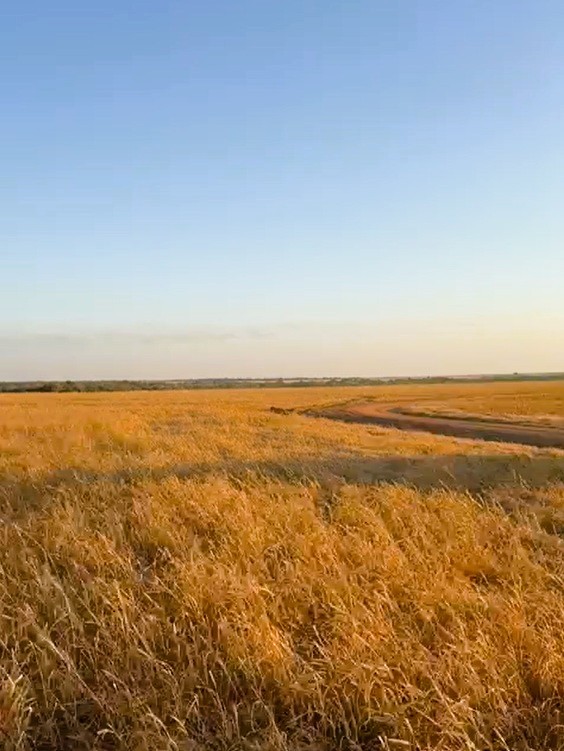 Fazenda, 2120 m² - Foto 13