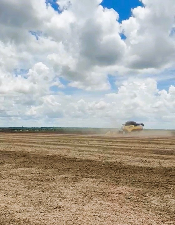 Fazenda, 2120 m² - Foto 12