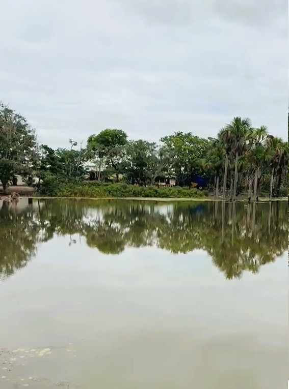 Fazenda, 2120 m² - Foto 18