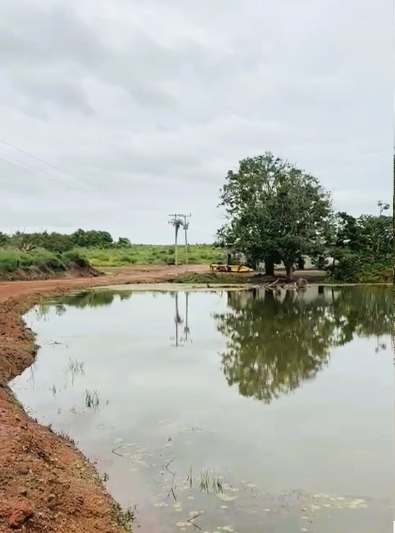 Fazenda, 2120 m² - Foto 19