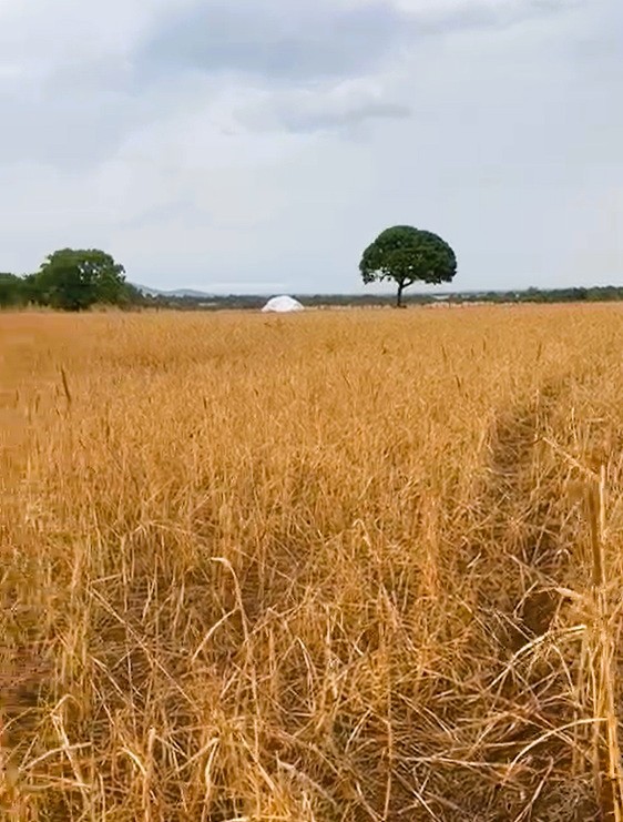 Fazenda, 2120 m² - Foto 24