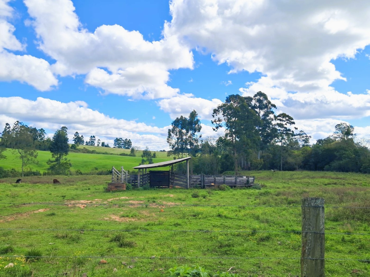 Fazenda, 55 m² - Foto 2