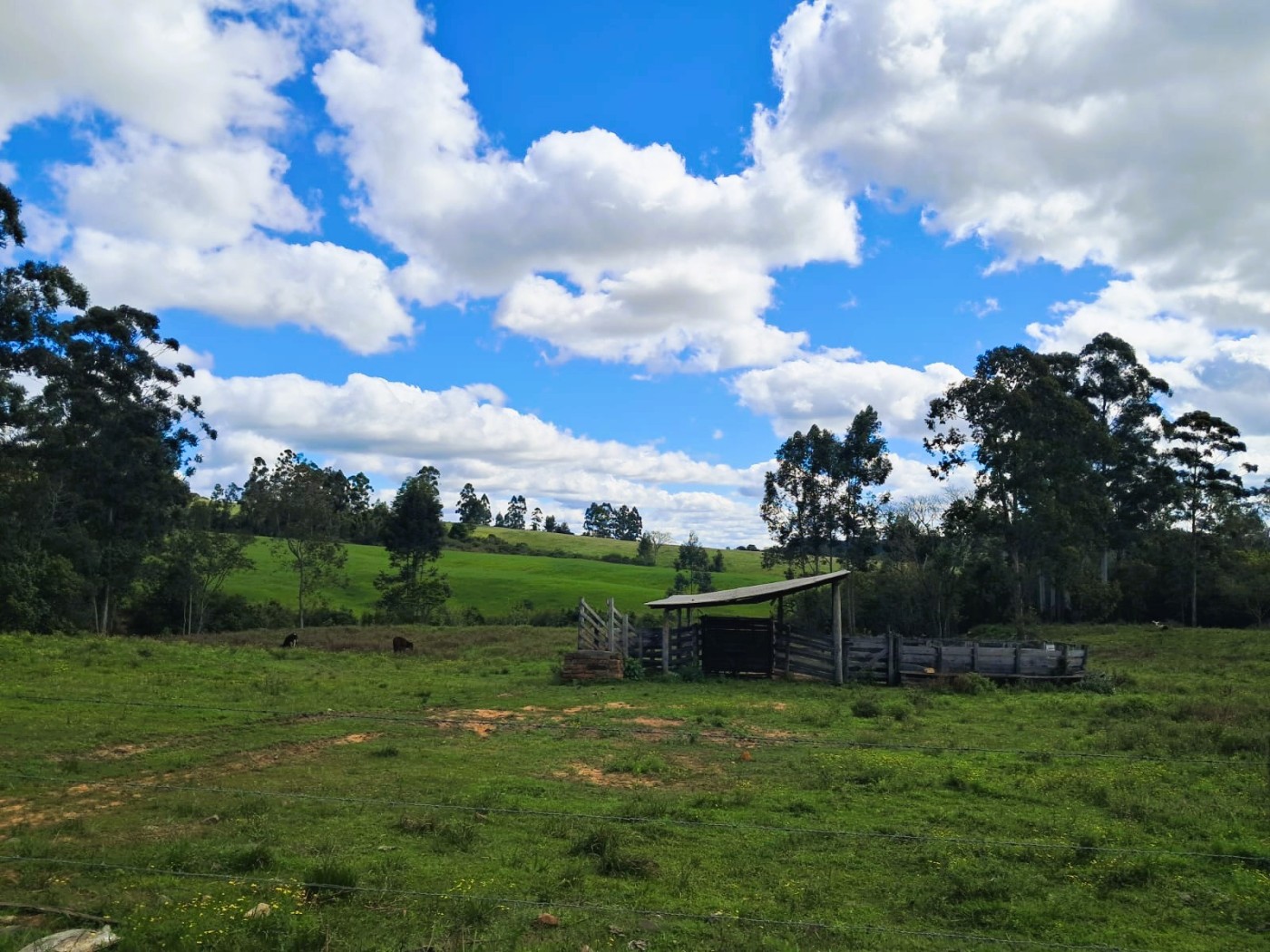 Fazenda, 55 m² - Foto 5