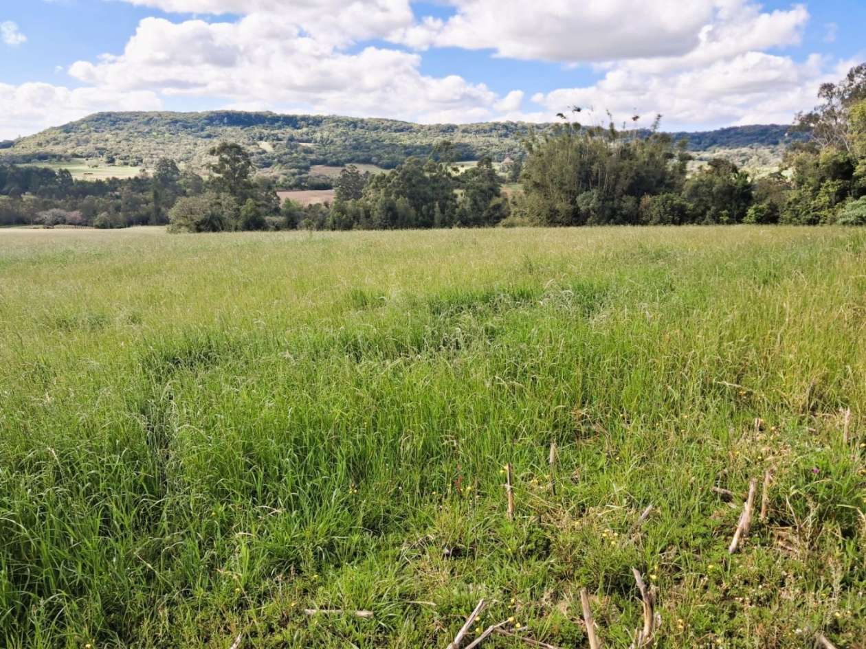 Fazenda, 55 m² - Foto 12