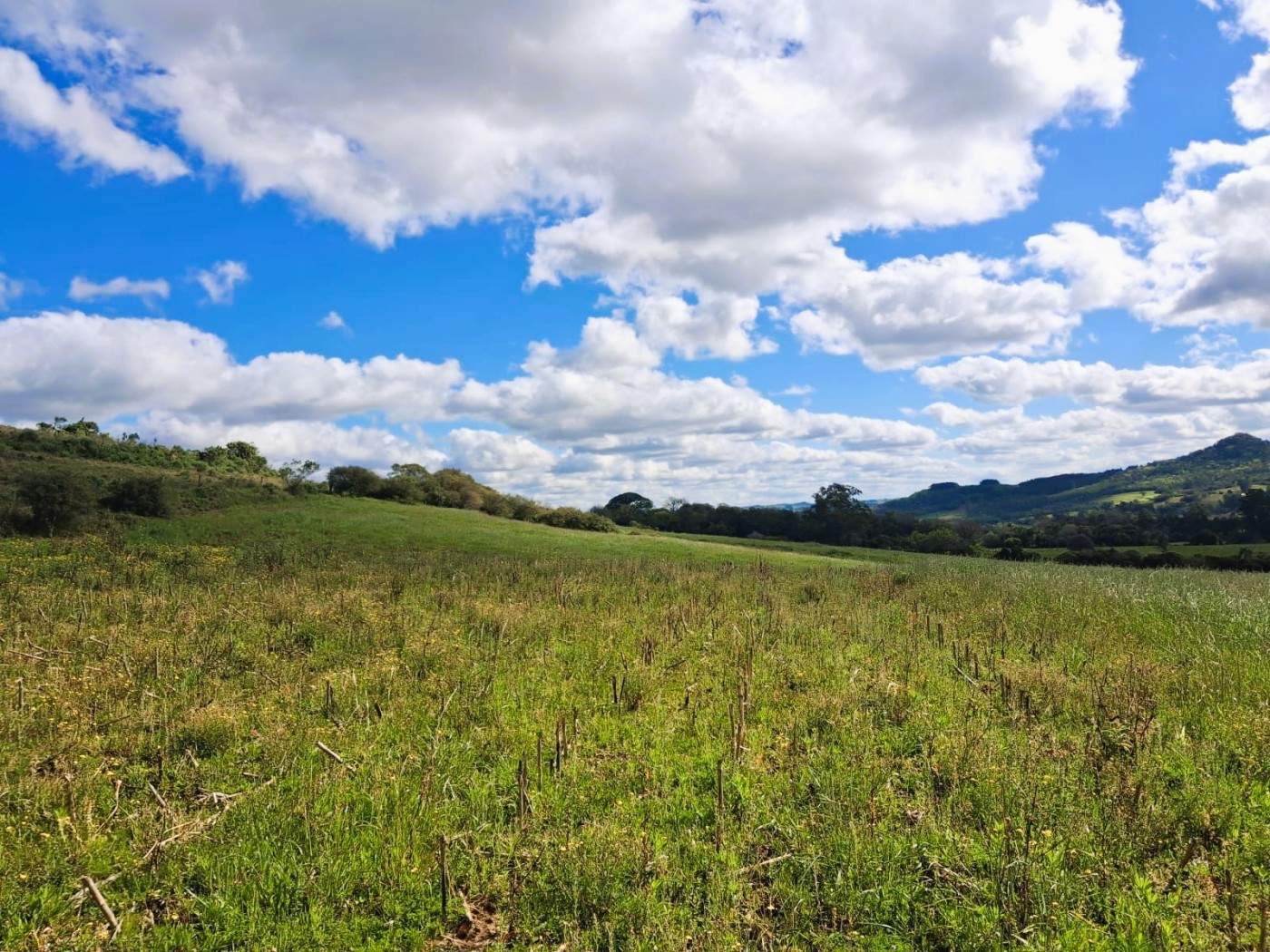 Fazenda, 55 m² - Foto 14
