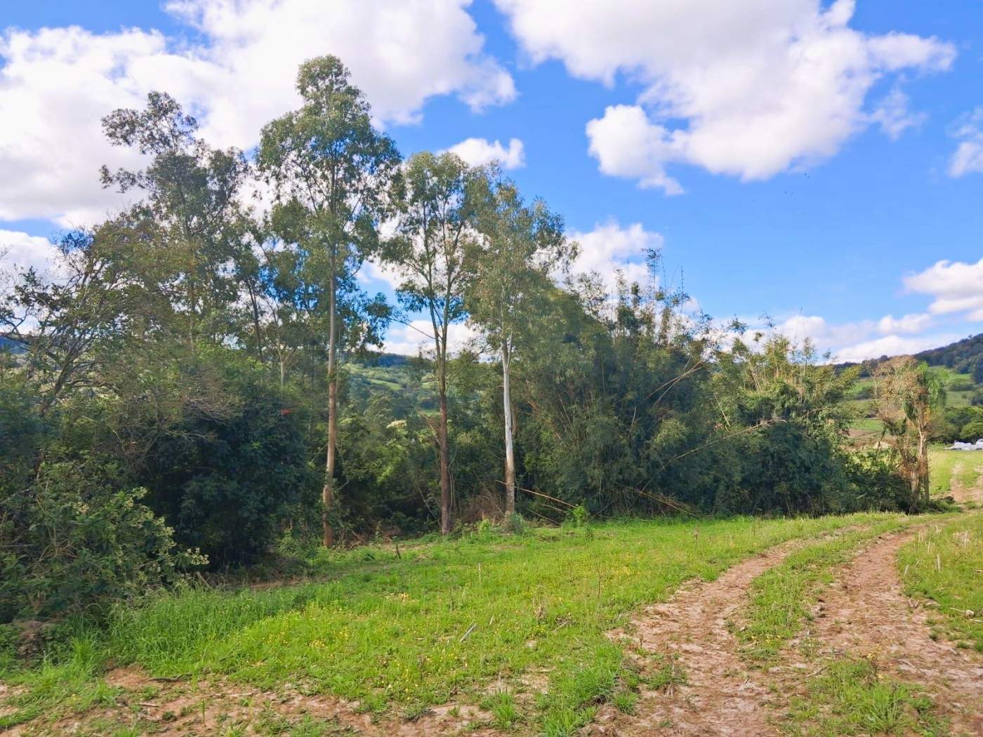 Fazenda, 55 m² - Foto 15