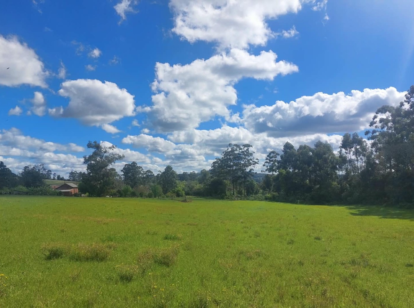 Fazenda, 55 m² - Foto 22
