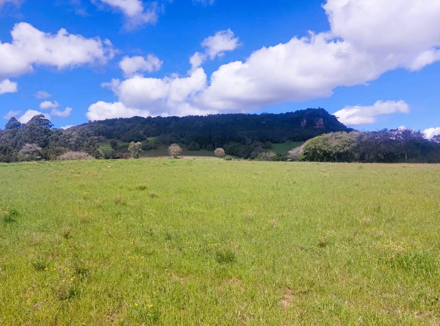 Fazenda, 55 m² - Foto 21