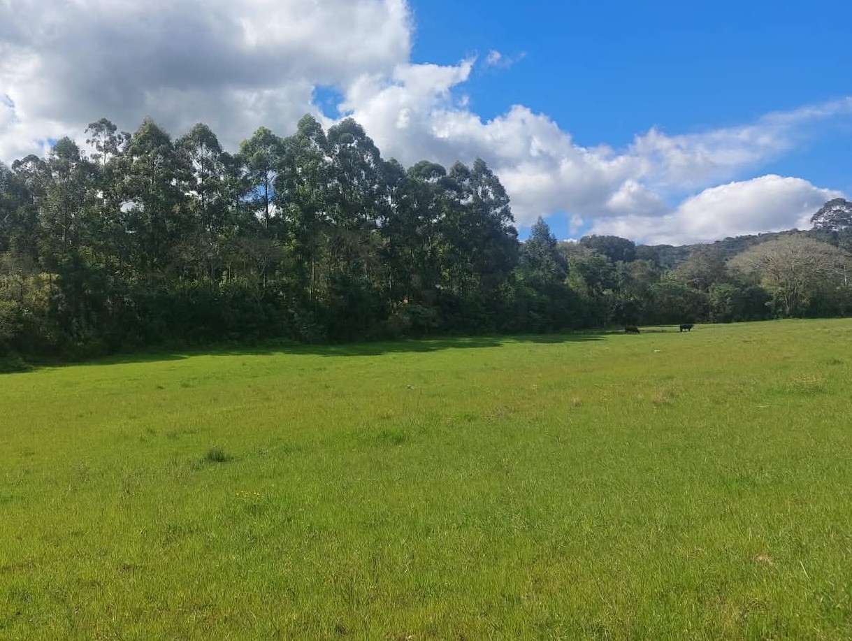 Fazenda, 55 m² - Foto 23