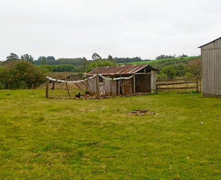 Fazenda, 56 m² - Foto 6