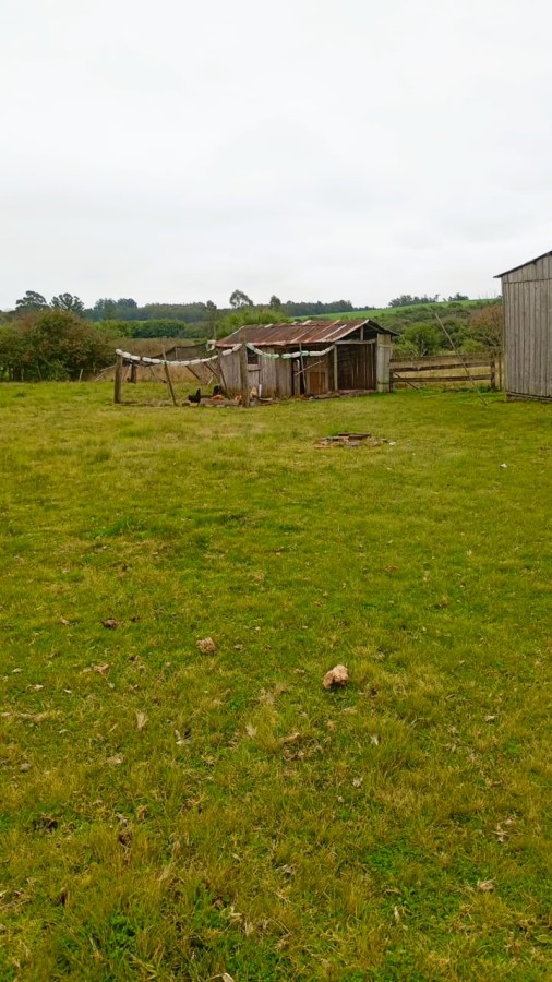 Fazenda, 56 m² - Foto 5