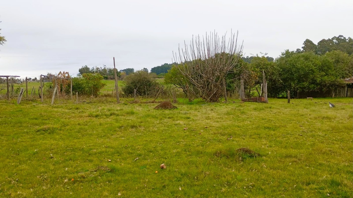 Fazenda, 56 m² - Foto 7