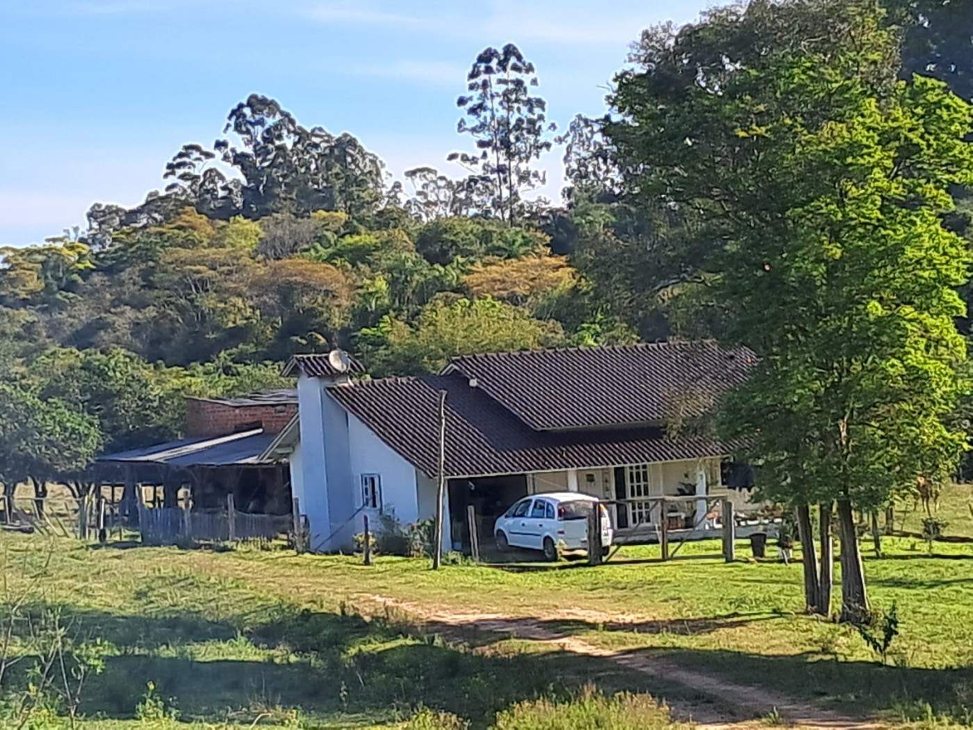 Fazenda, 4 m² - Foto 3