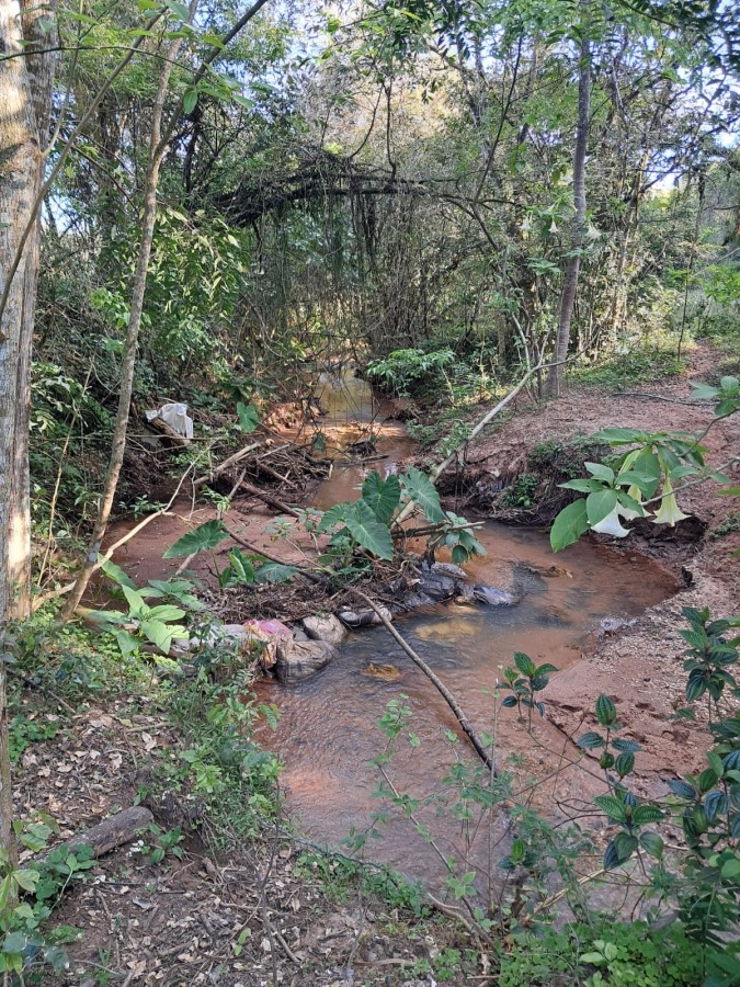 Fazenda, 4 m² - Foto 7