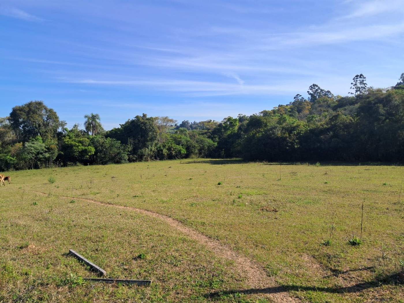 Fazenda, 4 m² - Foto 8