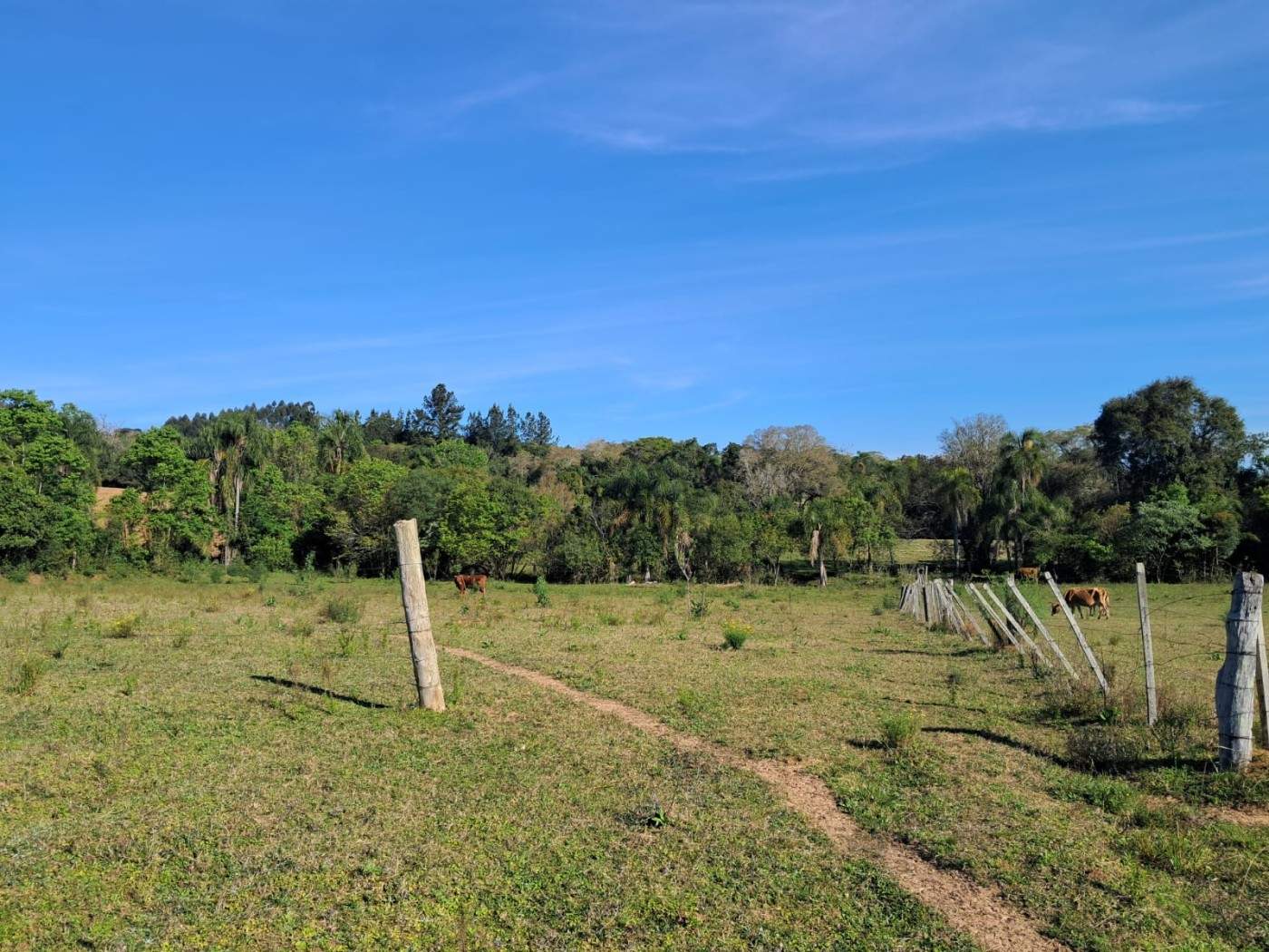 Fazenda, 4 m² - Foto 11