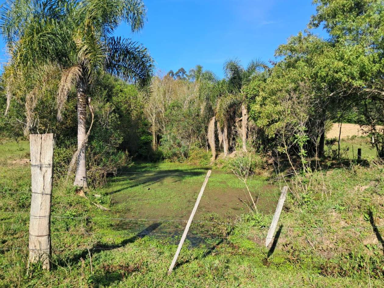 Fazenda, 4 m² - Foto 10