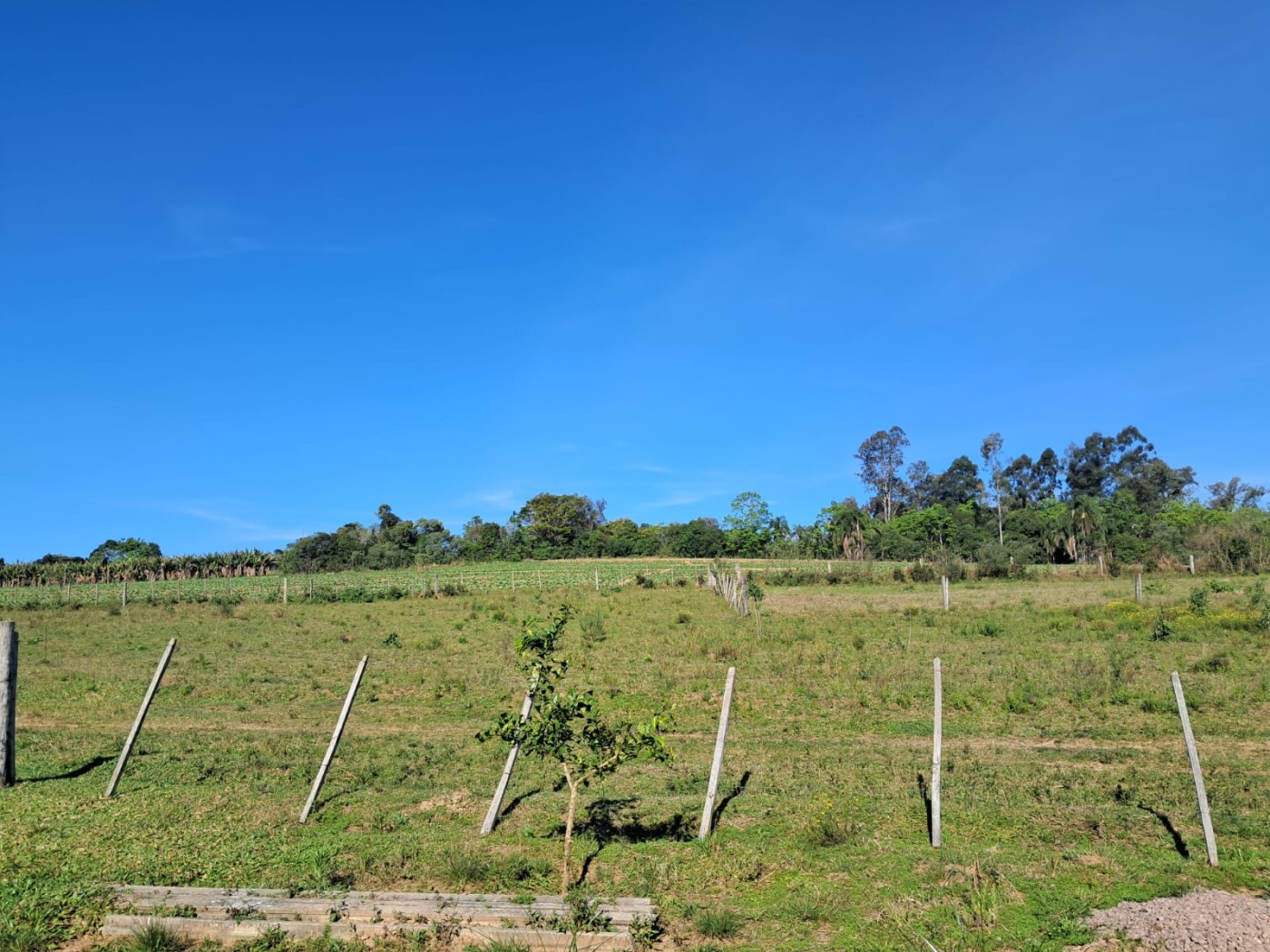 Fazenda, 4 m² - Foto 14