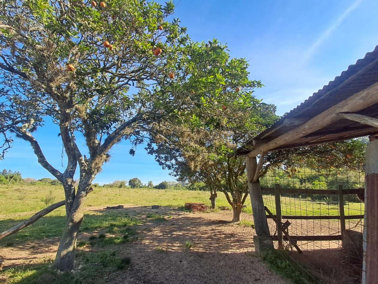 Fazenda, 4 m² - Foto 13
