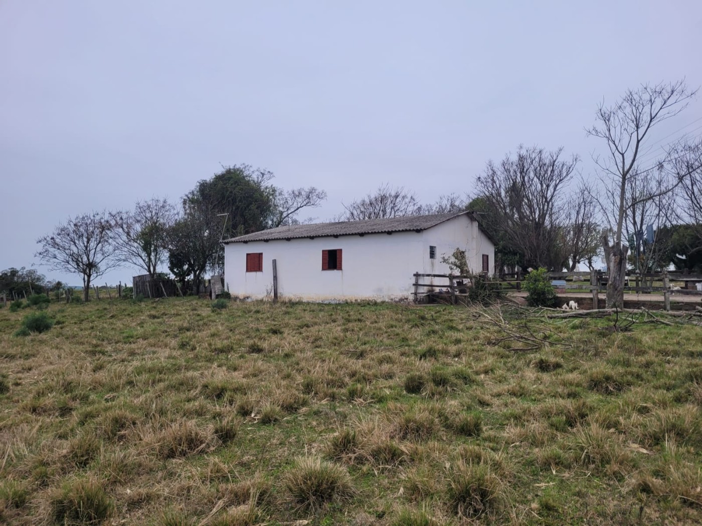 Fazenda - Foto 5