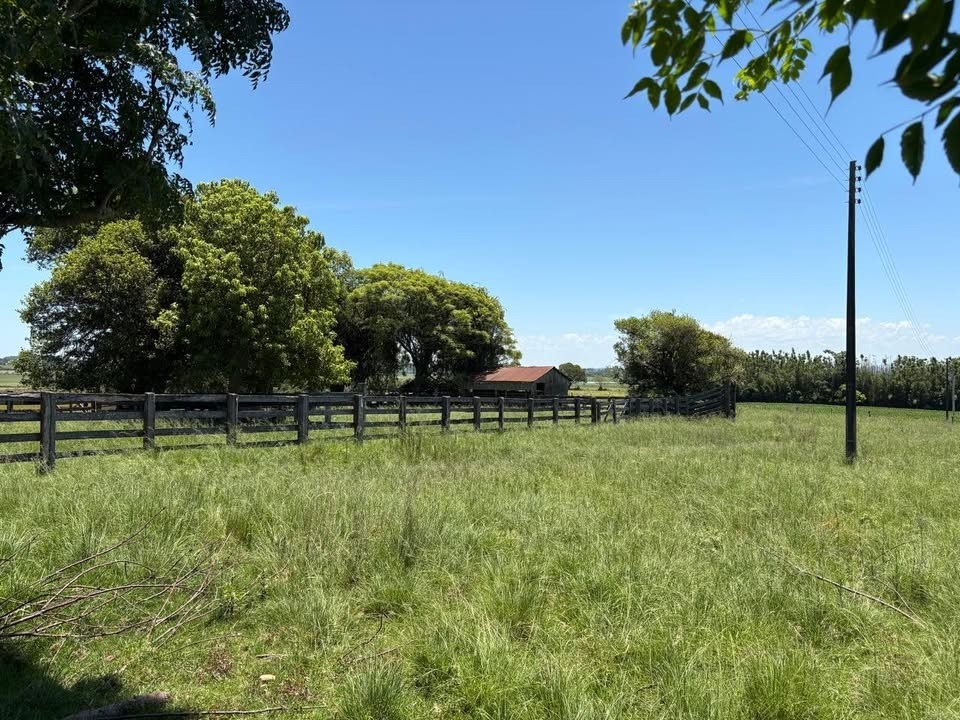 Fazenda - Foto 6