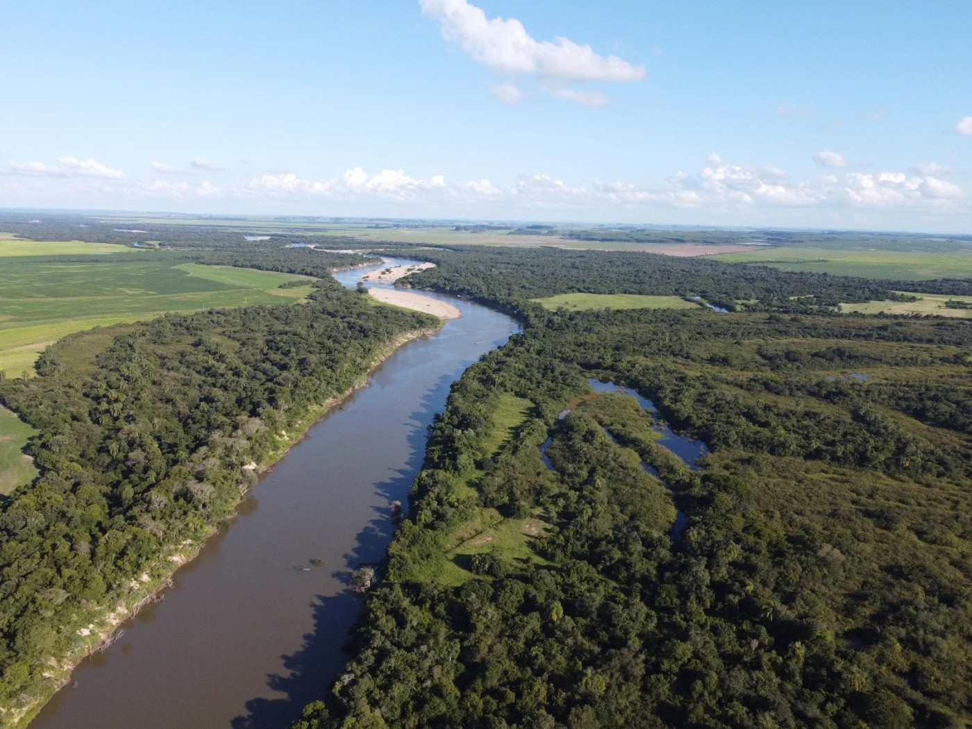 Fazenda - Foto 7