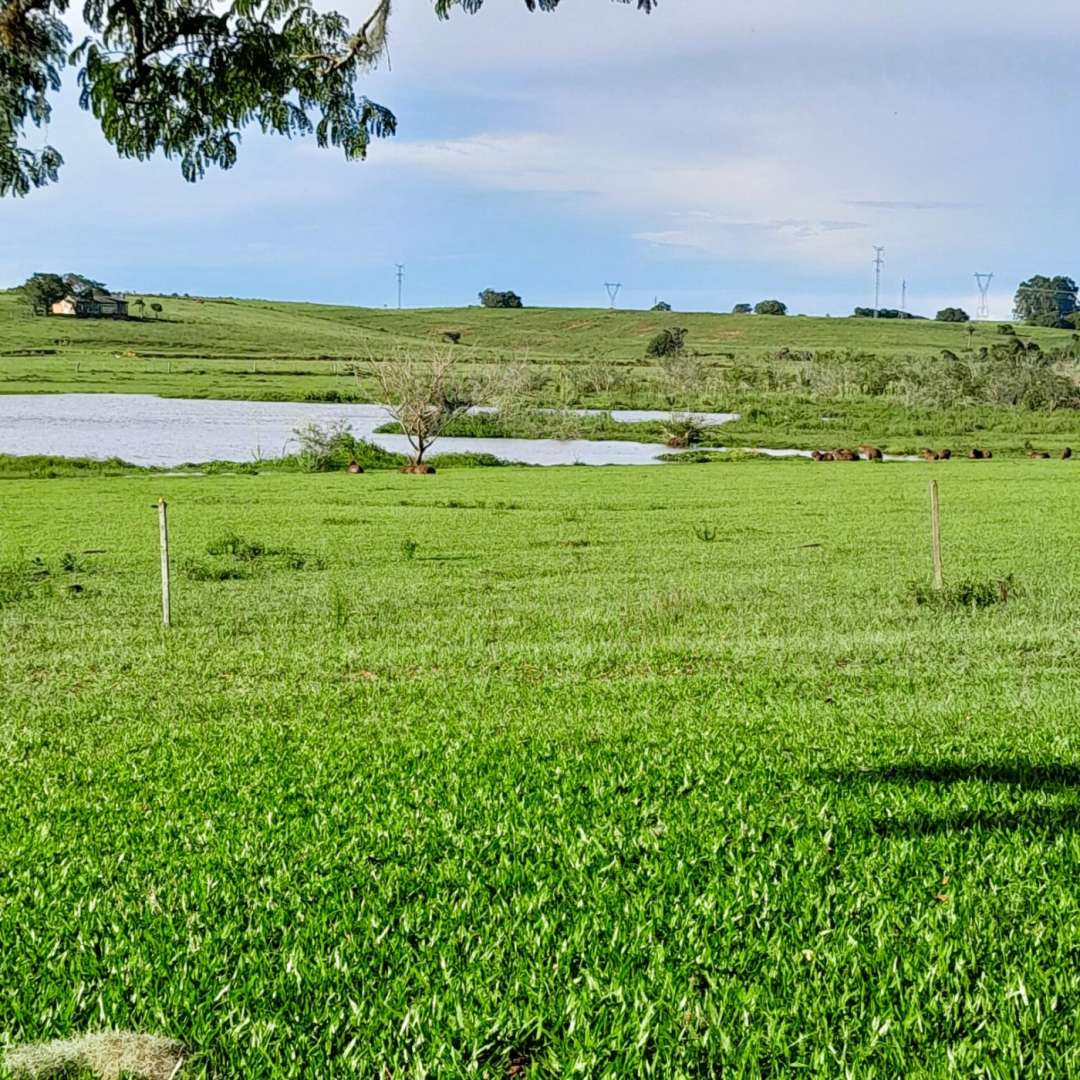 Fazenda, 98 m² - Foto 8