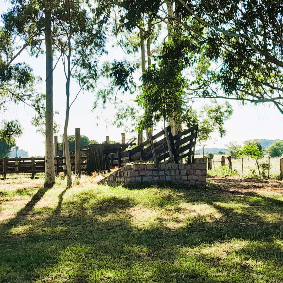 Fazenda, 98 m² - Foto 11