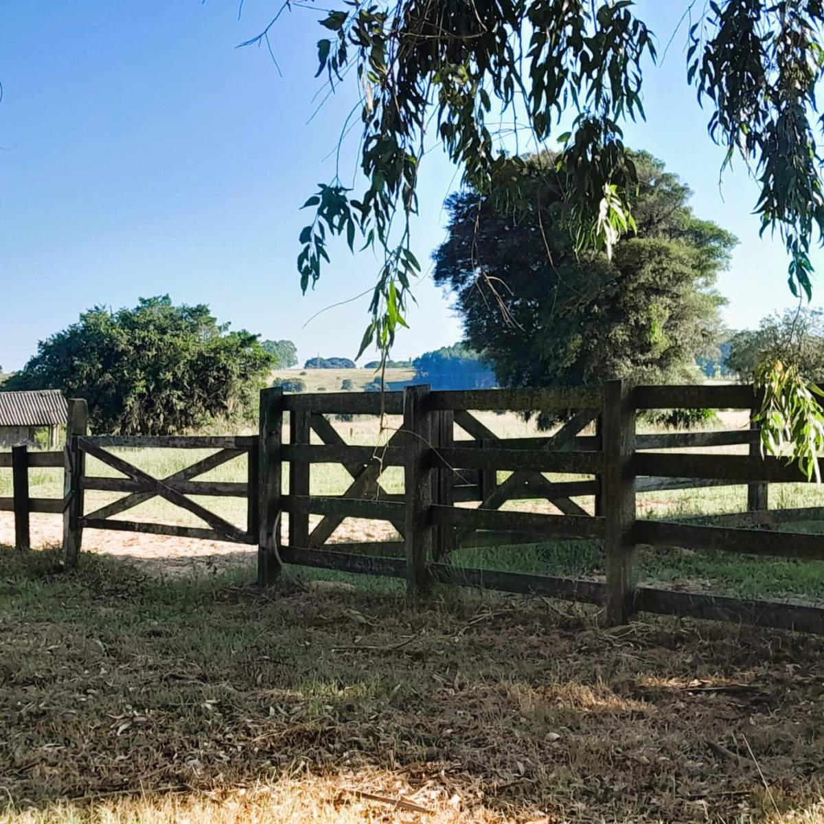 Fazenda, 98 m² - Foto 14
