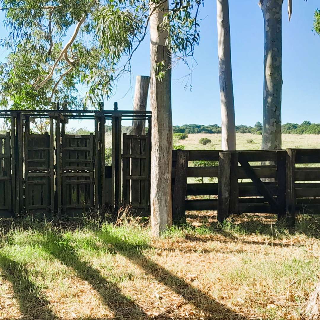 Fazenda, 98 m² - Foto 15