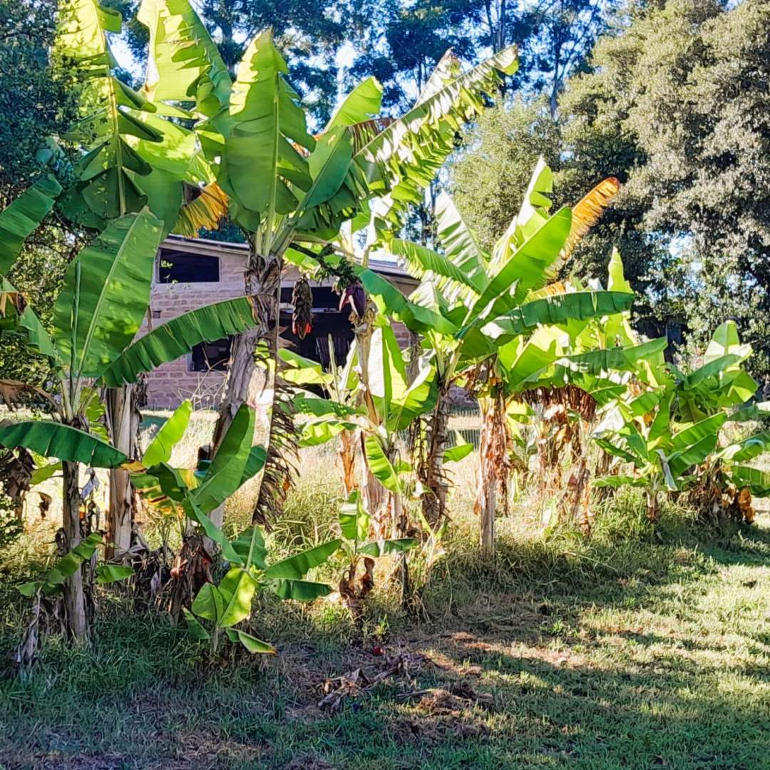 Fazenda, 98 m² - Foto 17