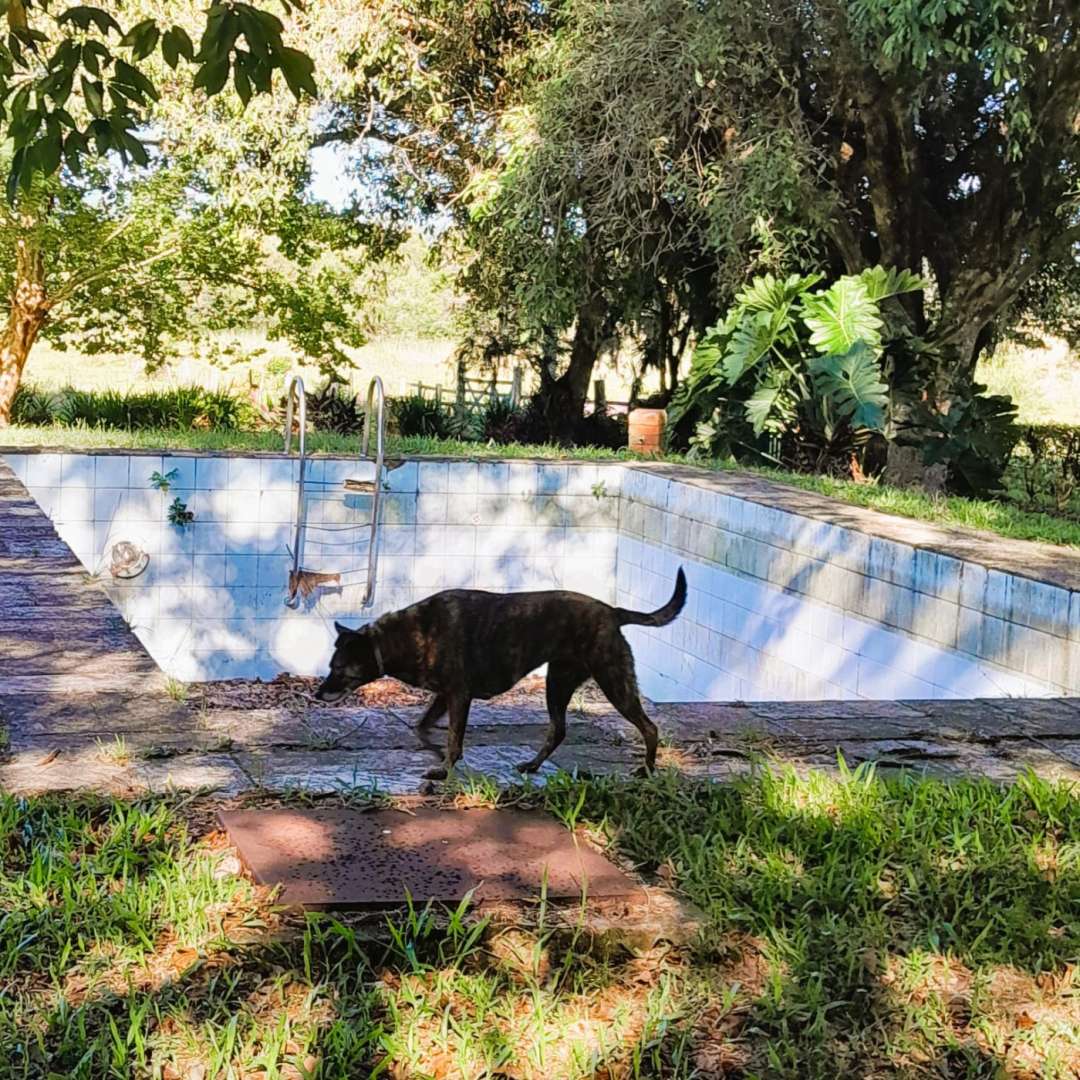 Fazenda, 98 m² - Foto 24