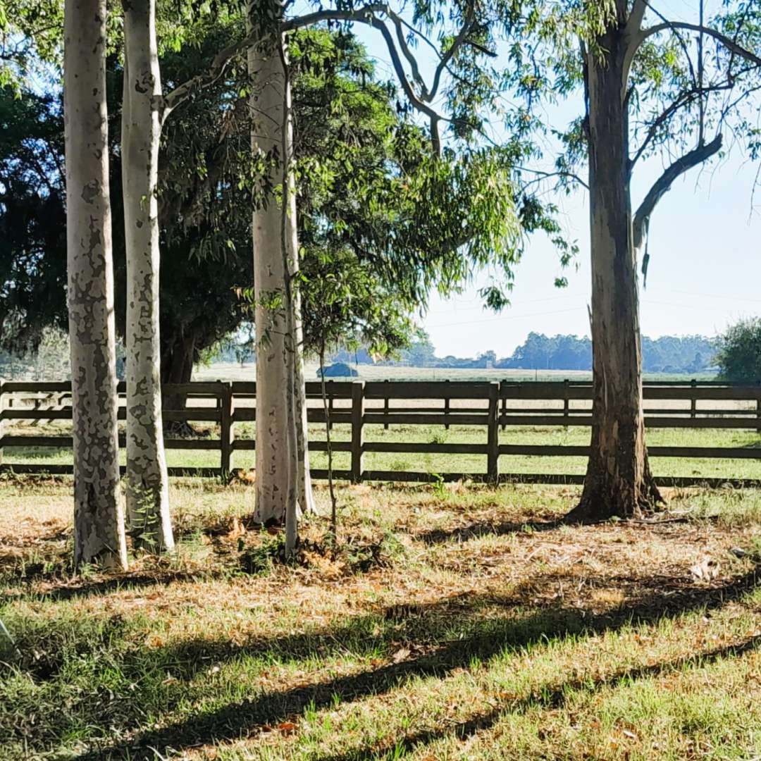 Fazenda, 98 m² - Foto 25