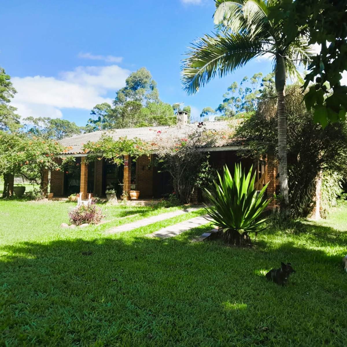 Fazenda, 98 m² - Foto 27