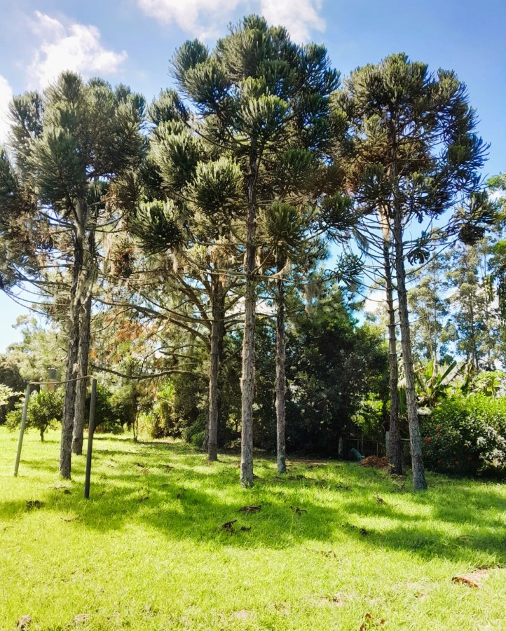 Fazenda, 98 m² - Foto 30